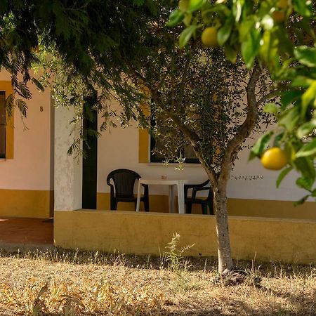 Odivelas  Markadiaヴィラ エクステリア 写真